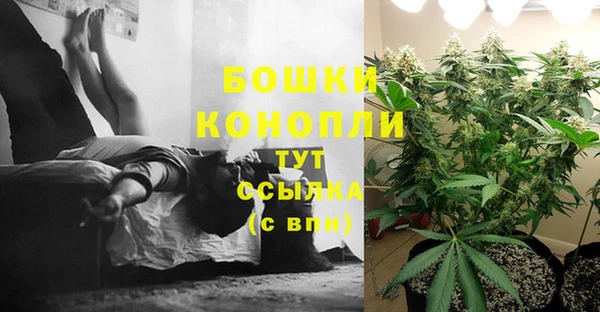 прущая мука Богородск